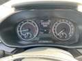 Skoda Fabia Ambition 1,0 TSI GRA+Shzg+PDC+CarPlay+LED Grau - thumbnail 13