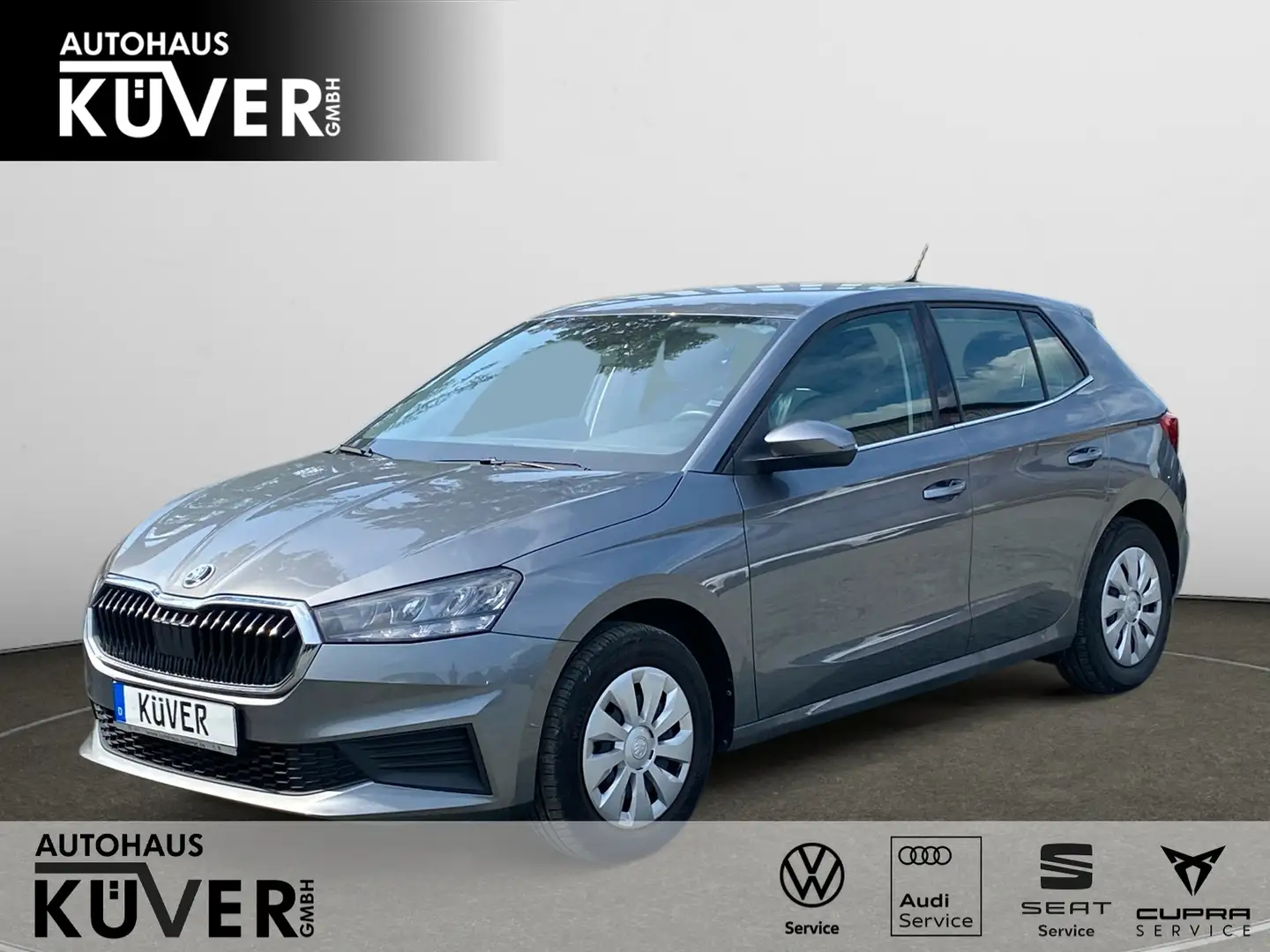 Skoda Fabia Ambition 1,0 TSI GRA+Shzg+PDC+CarPlay+LED Grau - 1