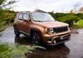 Jeep Renegade 1.0 T3 Downtown Rouge - thumbnail 1