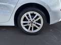 Audi A3 4ª serie SPB Sportback 30 TDI Business Advanced Bianco - thumbnail 12