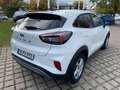 Ford Puma Titanium 1.0 **NEUES MODELL** NAVI*SHZ*LHZ Weiß - thumbnail 6