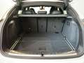 BMW X4 M Panorama-Glasdach, 21" M LMR, M Competition Paket Weiß - thumbnail 10