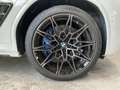 BMW X4 M Panorama-Glasdach, 21" M LMR, M Competition Paket Weiß - thumbnail 11