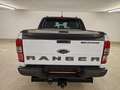Ford Ranger Ranger Doppelkabine Wildtrak 4x4 2,0 EcoBlue Aut. Blanc - thumbnail 9