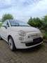Fiat 500 500 1.2 Happy Birthday Edition Alb - thumbnail 1