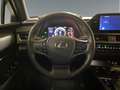 Lexus UX 250h Business 2WD Gris - thumbnail 11