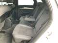 Audi SQ5 TDI quattro tiptronic Matrix Standh AHK Weiß - thumbnail 11