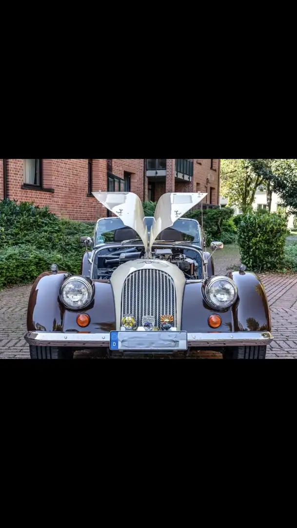 Morgan Plus 8 Marrón - 1