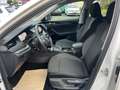 Skoda Octavia Ambition Weiß - thumbnail 8