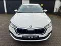 Skoda Octavia Ambition Weiß - thumbnail 4