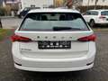 Skoda Octavia Ambition Weiß - thumbnail 5