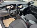 Skoda Octavia Ambition Weiß - thumbnail 7