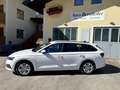 Skoda Octavia Ambition Weiß - thumbnail 2