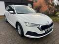 Skoda Octavia Ambition Weiß - thumbnail 2