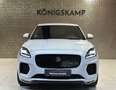 Jaguar E-Pace R-Dynamic AWD * 360° KAMERA * ACC * Weiß - thumbnail 5
