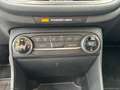 Ford Fiesta 1.0 Ecoboost 100 CV 5p. Titanium Bleu - thumbnail 20