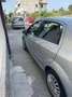 Fiat Punto Evo 1300 multijet Grigio - thumbnail 4