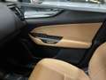 Lexus NX 350h Executive 4WD Gris - thumbnail 27