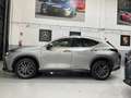 Lexus NX 350h Executive 4WD Gris - thumbnail 1