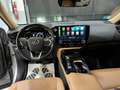 Lexus NX 350h Executive 4WD Gris - thumbnail 19
