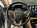 Lexus NX 350h Executive 4WD Gris - thumbnail 21