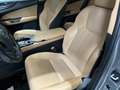 Lexus NX 350h Executive 4WD Gris - thumbnail 16