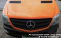 Mercedes-Benz Sprinter 316 CDI Kasten, AHK/PTS/KLIMA/EU6/ 3-SITZE Orange - thumbnail 4