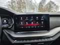 Skoda Octavia Limo RS Canton Sound elektrische Sitze Bleu - thumbnail 23