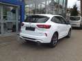 Ford Kuga 2,5 Duratec FHEV ST-Line X Allrad Aut. Weiß - thumbnail 5