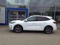 Ford Kuga 2,5 Duratec FHEV ST-Line X Allrad Aut. Weiß - thumbnail 14