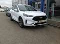Ford Kuga 2,5 Duratec FHEV ST-Line X Allrad Aut. Weiß - thumbnail 3