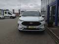 Ford Kuga 2,5 Duratec FHEV ST-Line X Allrad Aut. Weiß - thumbnail 2