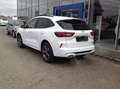 Ford Kuga 2,5 Duratec FHEV ST-Line X Allrad Aut. Weiß - thumbnail 13