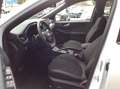 Ford Kuga 2,5 Duratec FHEV ST-Line X Allrad Aut. Weiß - thumbnail 12
