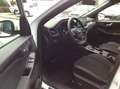 Ford Kuga 2,5 Duratec FHEV ST-Line X Allrad Aut. Weiß - thumbnail 11