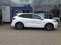 Ford Kuga 2,5 Duratec FHEV ST-Line X Allrad Aut. Weiß - thumbnail 4