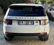 Land Rover Discovery Sport 2.2 td4 S awd 150cv auto - thumbnail 5