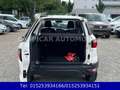 Ford EcoSport Trend Weiß - thumbnail 10