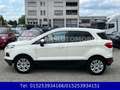 Ford EcoSport Trend Weiß - thumbnail 8