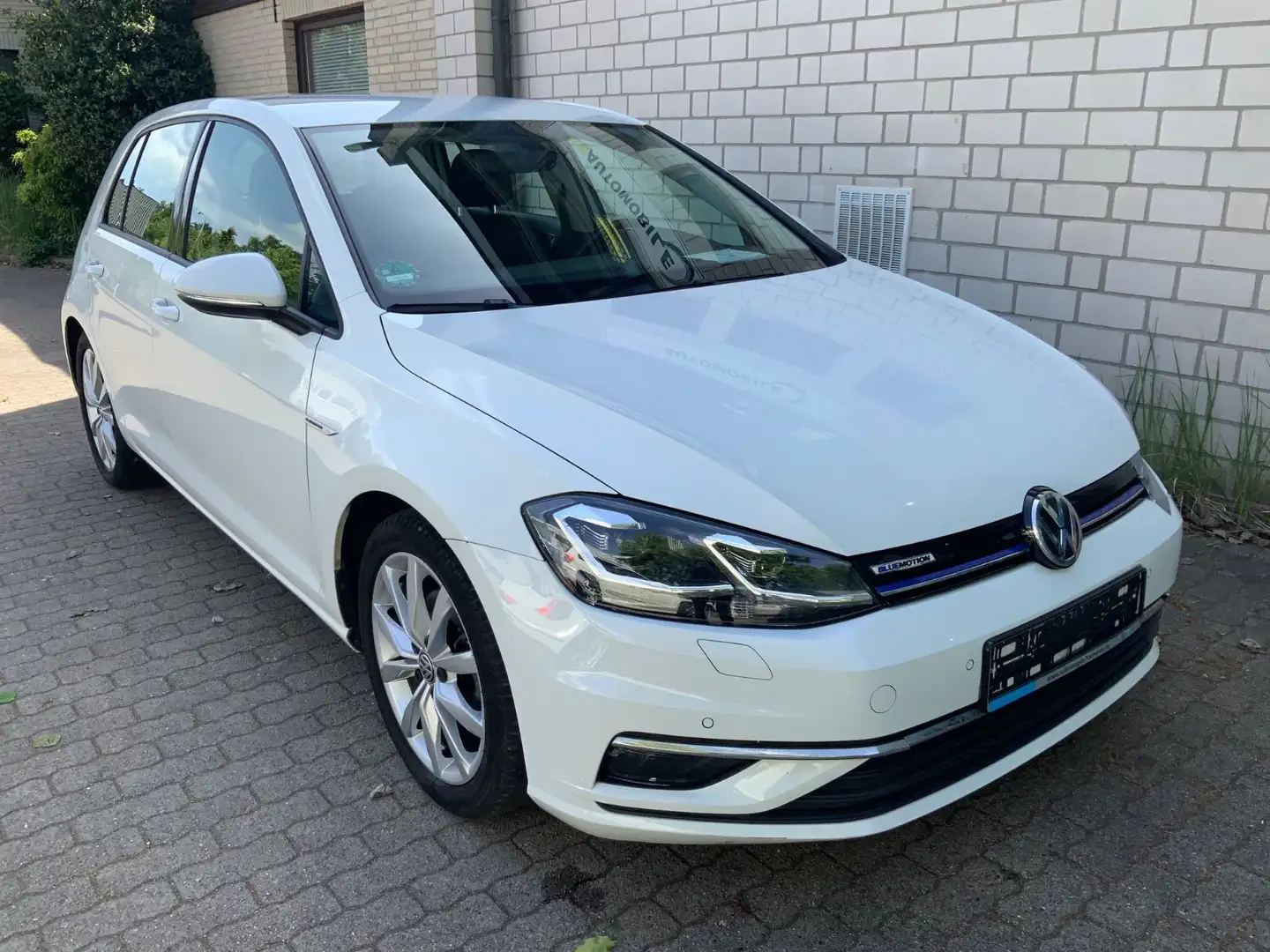Volkswagen Golf VII 1.5 TSI Highline BlueMotion DistT/Navi Weiß - 1