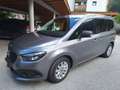 Mercedes-Benz Citan Citan Tourer 110 CDI Pro Grau - thumbnail 2