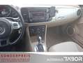 Volkswagen Beetle 1.2 TSI DSG Design Navi SHZ GRA PDC Clima Grau - thumbnail 7