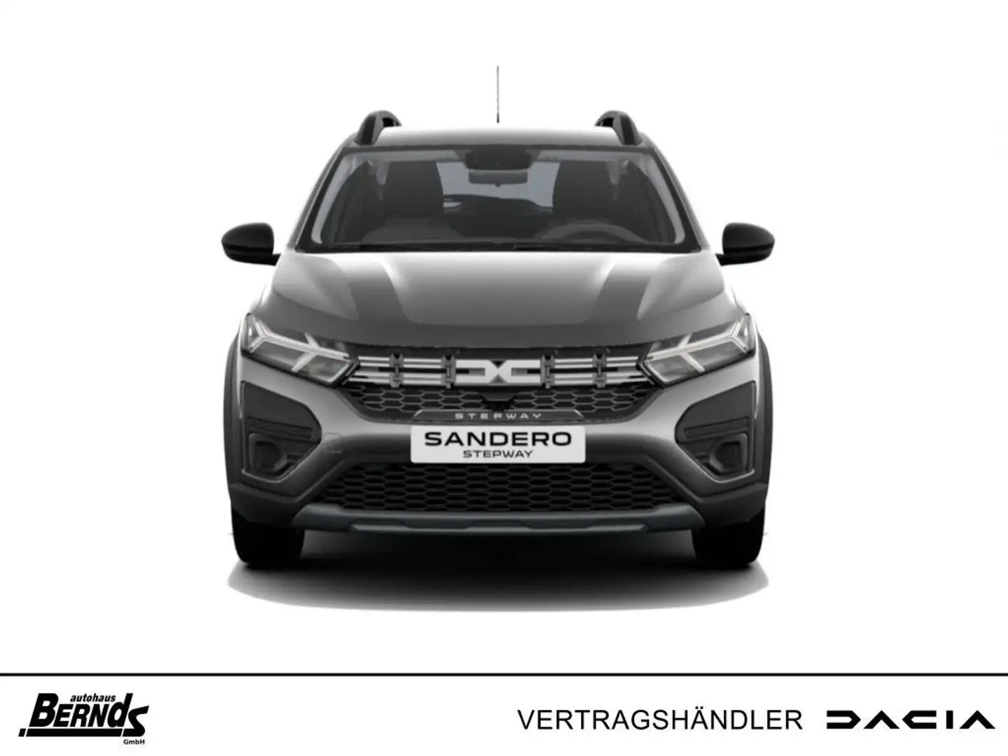 Dacia Sandero Stepway TCe 110 Extreme+ - City- und Winter-Paket Grey - 1