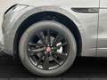 Jaguar F-Pace D200 R-Dynamic SE AHK Panorama Navi Leder Soundsys Gris - thumbnail 9