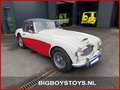Austin-Healey 100 100/6 (BN4) Overdrive Weiß - thumbnail 3