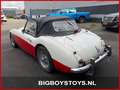 Austin-Healey 100 100/6 (BN4) Overdrive Weiß - thumbnail 5