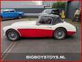 Austin-Healey 100 100/6 (BN4) Overdrive Weiß - thumbnail 8