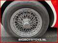 Austin-Healey 100 100/6 (BN4) Overdrive Weiß - thumbnail 20