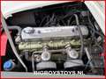 Austin-Healey 100 100/6 (BN4) Overdrive Weiß - thumbnail 15