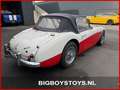 Austin-Healey 100 100/6 (BN4) Overdrive Weiß - thumbnail 4